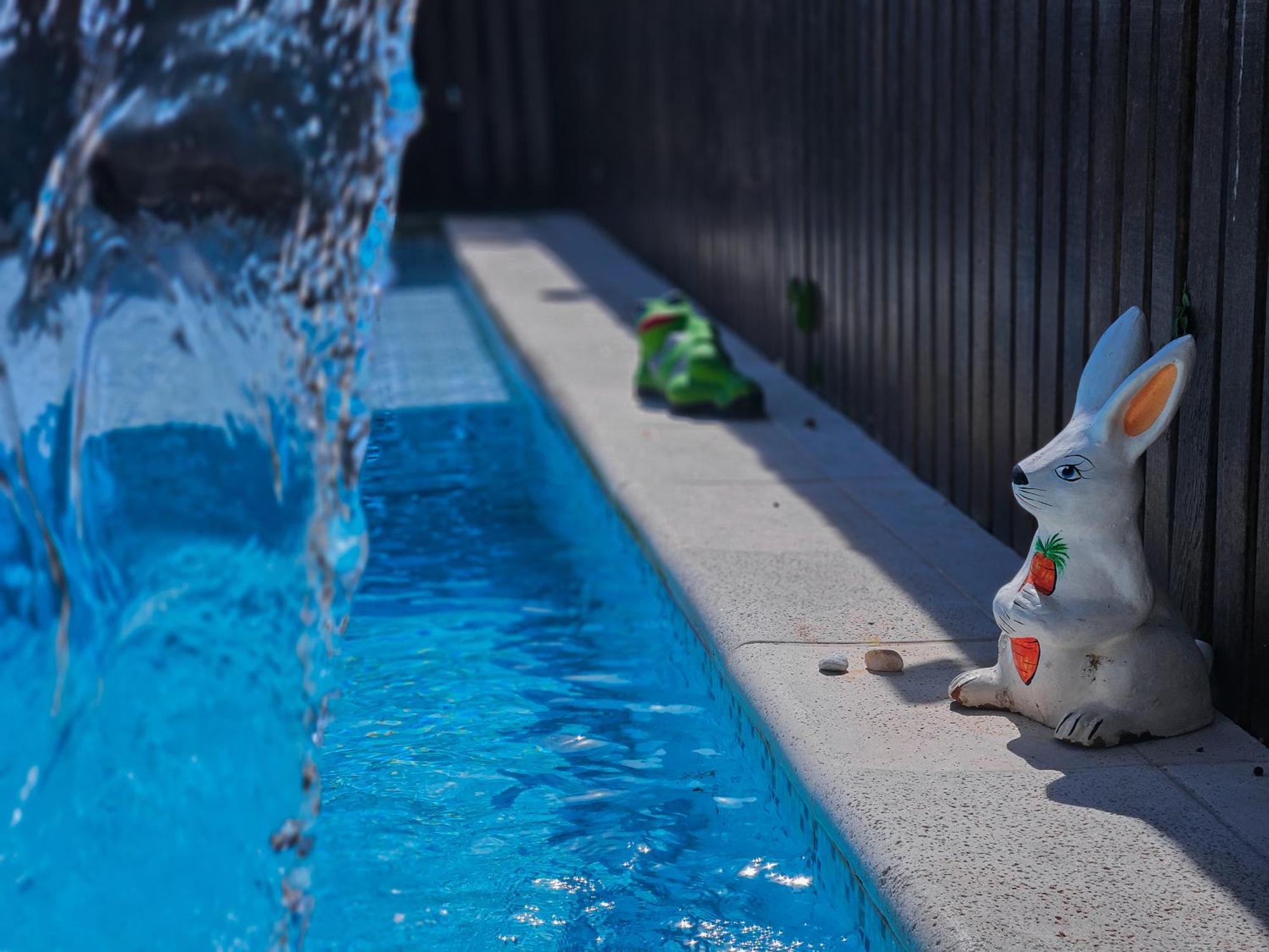 Bella Vista Ocean View Hotel Búzios Exterior foto A bunny watering can